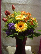 Tulips, gerbera, daisies, solidago, and statice