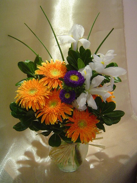 Gerbera, iris, aster, monkey grass and pitt