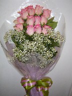 Pink roses and baby's breath