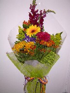 Snapdragon, coffee beans, solidago, celosia, daisies, and helenium