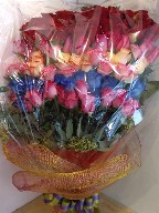Roses (100)