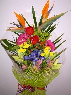 Bird of paradise, roses, gerbera, iris, alstroemeria, coffee beans, solidago, pompoms, and teepee