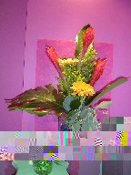 Solidago, gerbera, ginger, monstera, and eucalyptus
