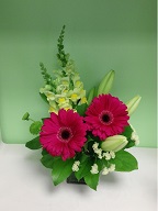 Gerbera, snapdragon, asiatic lillies, and statice