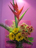 Sago, solidago, sunflowers, heliconia, and daisies