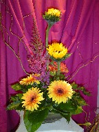 Sunflowers, astilbe, curly willow, alstroemeria, and gerbera