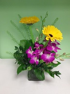 Dendrobium orchids, gerbera, and thlaspia