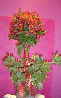 Alstroemeria