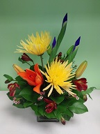 Iris, spider mums, asiatic lily, alstroemeria and waxflowers