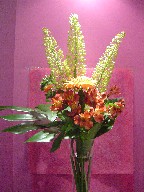 Eremurus, gerbera, monstera, and alstroemeria