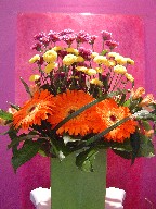 Gerbera, pompoms, alstroemeria, daisies, and monkey grass