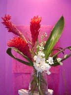Ginger and orchids