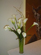 Calla lilies in a vase
