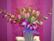 Tulips, waxflowers, and orchids