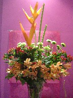 Heliconia, pompoms, alstroemeria, and coffee beans