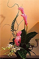 Orchids, gingers and curly willow in a vase