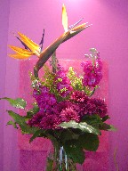 Bird of paradise, stocks, solidago, and chrysanthemum