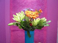 Lillies, gerbera, freesia, and casino blue