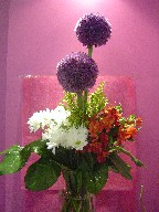Daisies, alstroemeria, allium, and solidago