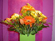 Gerbera, pinocchio, daisies, solidago, tulips, and bear grass