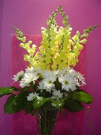 Snapdragon and daisies