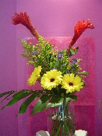 Ginger, solidago, coffee beans, monte casino blue, gerbera, and monstera