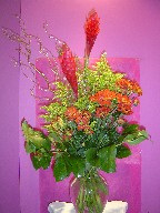 Ginger, curly willow, solidago, and daisies