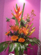 Heliconia, kangaroo, blue thistle, protea, gerbera, lillies, and monstera