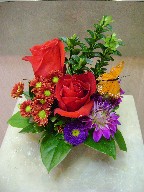 Roses, dhalia, aster, and daisies