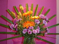 Gerbera, daisies, spiderman, and palmetto