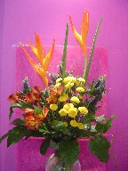 Heliconia, alstroemeria, pompoms, and thistle