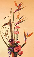 Bird of paradise, protea, carnations and statice in a vase