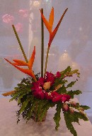 Heliconia, hot pink dendrobium orchids, roses, and greens