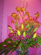Kangaroo, curly willow, coffee beans, lillies, daisies, and monstera