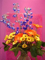 Delphinium, gerbera, and daisies