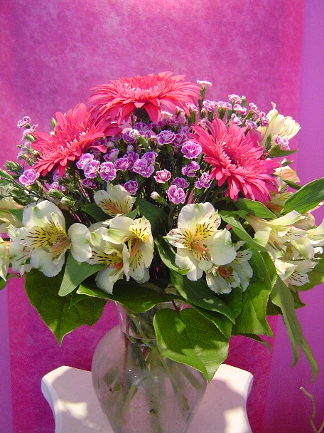 Sweet william, gerbera, and alstroemeria
