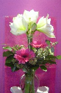Amaryllis, gerbera, and eucalyptus seed