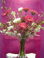 Orchids, waxflowers, gerbera, and ranunculus