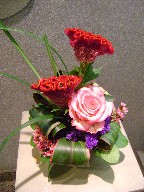 Celosia, statice, rose, waxflowers, cordeline, and monkey grass