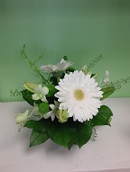 Gerbera, dendrobium orchids, asiatic lillies, and thlaspia