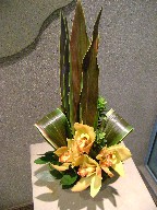 Cymbidium orchids and cordeline