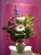 Iris, gerbera, solidago, tulips, and daisies