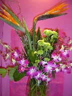 Bird of paradise, sago, pompoms, waxflowers, and orchids