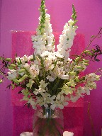 Snapdragon, alstroemeria, pompoms, and orchids