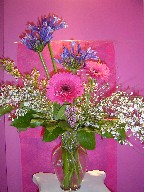 Agapanthus, gerbera, genest, and waxflowers