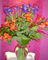 Alstroemeria and iris