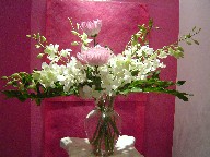 Orchids, spider mum, and philodendron