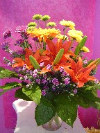 Sweet william, lillies, gerbera, and daisies
