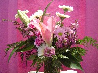 Carnations, stargazer, mini gerbera, waxflowers, and daisies