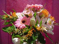 Gerbera, lillies, alstroemeria, and asclepia